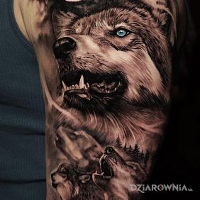 Tatuaż Wataha wilków na ramieniu motyw: czarno-szare styl: realistyczne