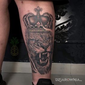 Tatuaż Lew z koroną na łydce motyw: zwierzęta styl: realistyczne