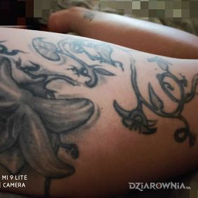 Tatuaż Lilia na nodze motyw: czarno-szare styl: graficzne / ilustracyjne