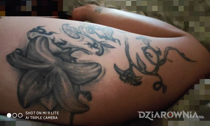 Tatuaż lilia w motywie kwiaty i stylu graficzne / ilustracyjne na nodze