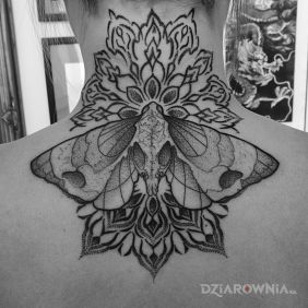 Tatuaż Ćma / Mandala / Dotwork na karku motyw: ornamenty styl: graficzne / ilustracyjne
