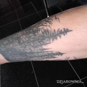 Tatuaż Las na przedramieniu motyw: pozostałe