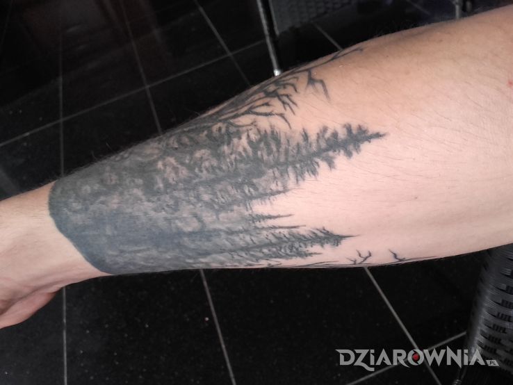 Tatuaż las w motywie rękawy na przedramieniu