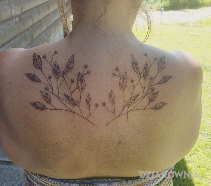Tatuaż mój pierwszy cover blizn  trochę freehandu w motywie kwiaty i stylu graficzne / ilustracyjne na plecach