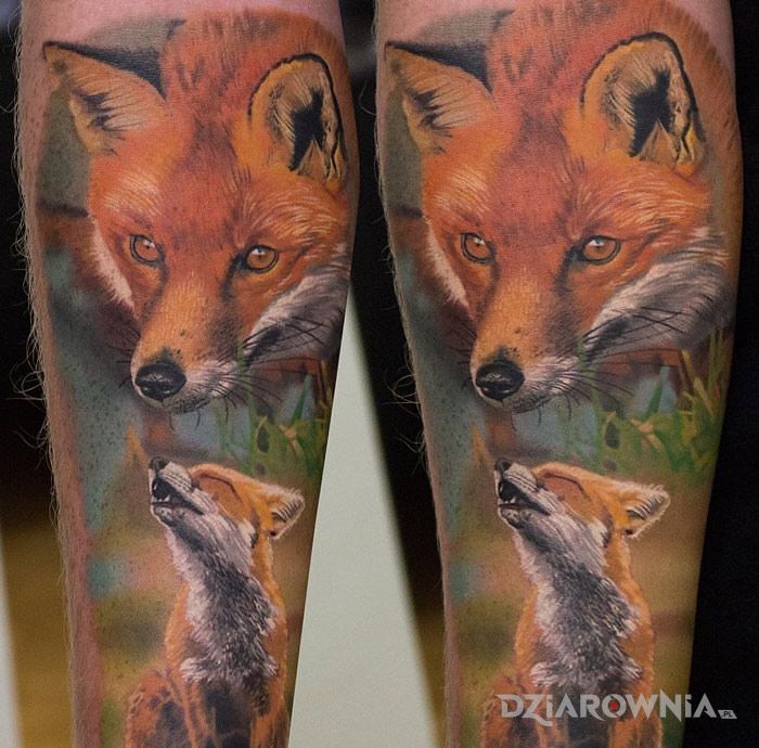 Tatuaż lis w motywie zwierzęta i stylu realistyczne na przedramieniu