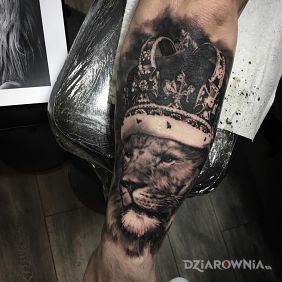 Tatuaż King leon na przedramieniu motyw: zwierzęta