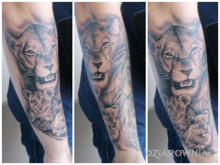 Tatuaż lwica z młodymi w motywie czarno-szare i stylu realistyczne na przedramieniu