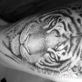 Tattoo Tiger on the forearm motif: animals