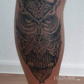 Tattoo My owl on the calf motif: animals
