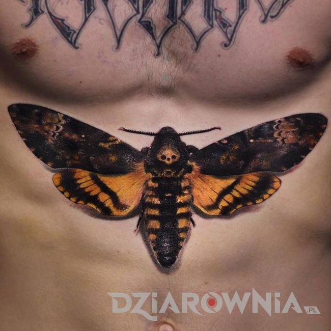 realistyczny tatuaż ćmy 3D na brzuchu mężczyzny