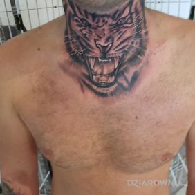 Tatuaż Tiger na gardle motyw: czarno-szare