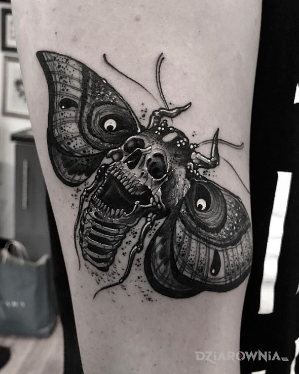 Tatuaż owad z czaszką w motywie czarno-szare i stylu graficzne / ilustracyjne na przedramieniu