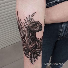 Tatuaż Dinozaur na przedramieniu motyw: czarno-szare styl: graficzne / ilustracyjne