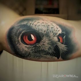 Tatuaż Realistyczna sowa na ramieniu motyw: zwierzęta styl: realistyczne