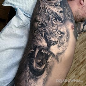 Tatuaż Lwisko na żebrach motyw: 3D styl: realistyczne