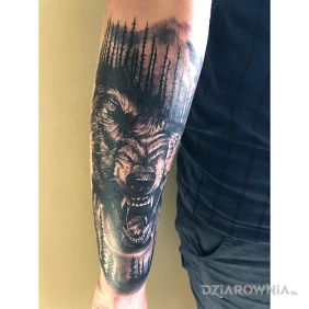 Tatuaż Wolf na przedramieniu motyw: 3D styl: realistyczne
