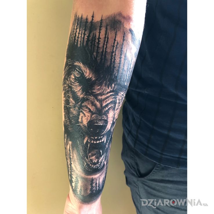 Tatuaż wolf w motywie 3D i stylu realistyczne na przedramieniu