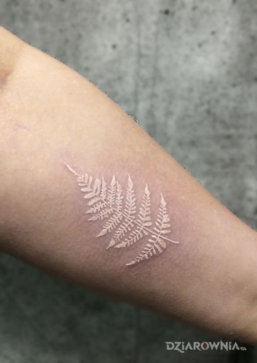 Tatuaż liść paproci w motywie pozostałe i stylu biały tusz na przedramieniu