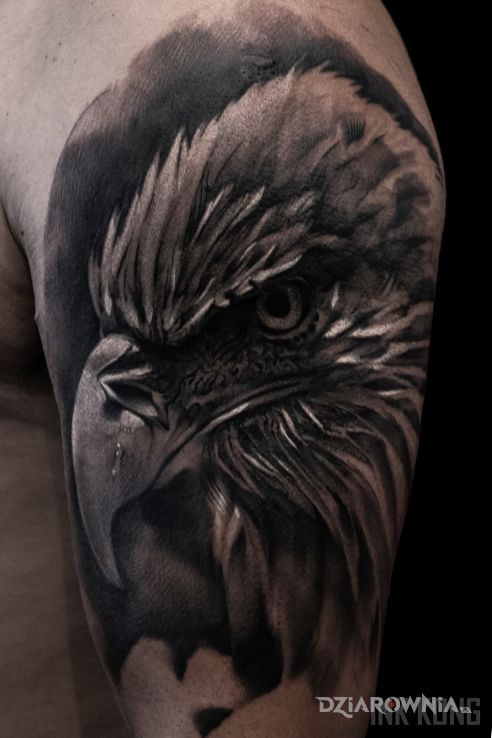 Tatuaż orzeł w motywie czarno-szare i stylu realistyczne na ramieniu