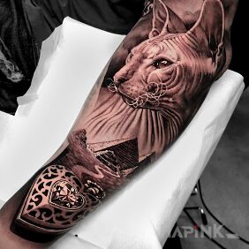 Tattoo Sphynx cat on the forearm motif: black and gray style: realistic
