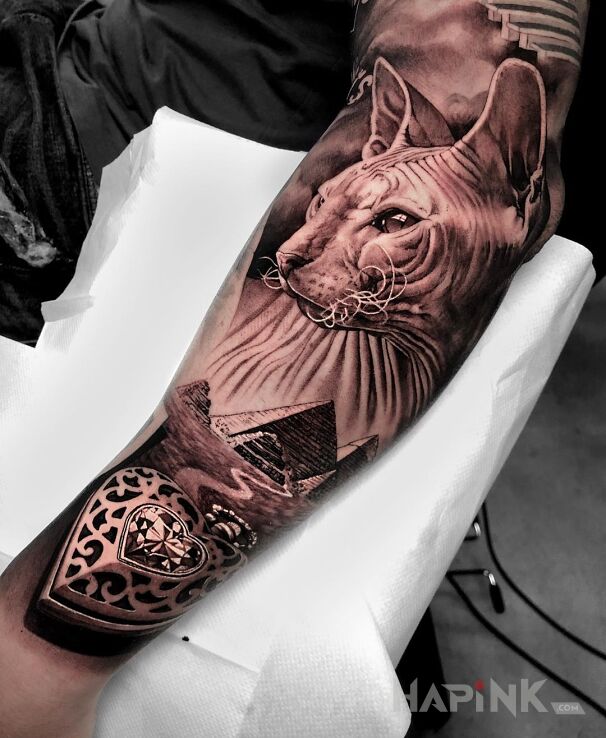 Tattoo Kot rasy Sfinks in 3D motif and realistic style on the forearm