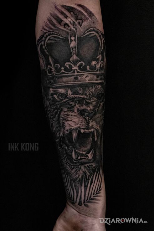 Tatuaż król lew w motywie czarno-szare i stylu realistyczne na przedramieniu