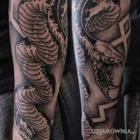 Tatuaż Wąż na przedramieniu motyw: czarno-szare styl: graficzne / ilustracyjne