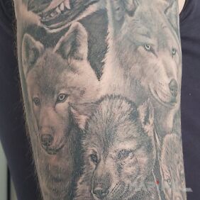 Tattoo Wolf on the upper arm motif: animals style: realistic