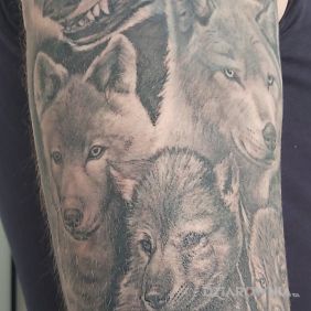 Tatuaż Wilk na ramieniu motyw: zwierzęta styl: realistyczne