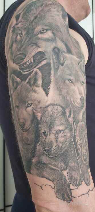Tattoo Wilk in black and gray motif and realistic style on the upper arm