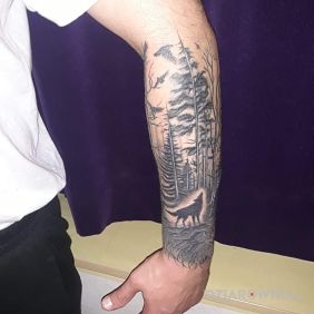 Tatuaż Las wilk na przedramieniu motyw: czarno-szare styl: realistyczne