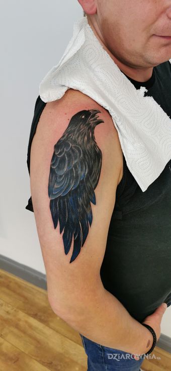 Tatuaż ellise tatto kettering w motywie czarno-szare i stylu graficzne / ilustracyjne na ramieniu