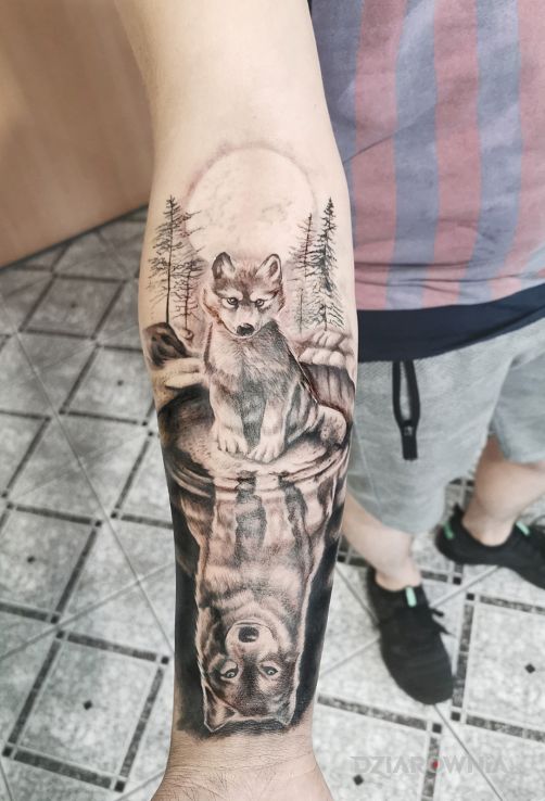 Tatuaż wilki w motywie czarno-szare i stylu realistyczne na przedramieniu
