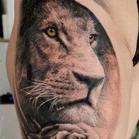 Tattoo Lion Roses on the leg motif: black and gray style: realistic