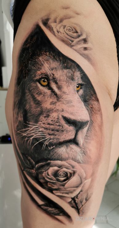 Tatuaż lew róże w motywie zwierzęta i stylu realistyczne na nodze