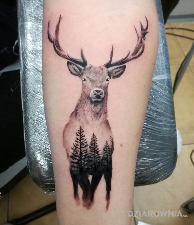 Tatuaż jeleń w motywie zwierzęta i stylu realistyczne na przedramieniu