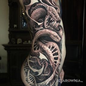 Tatuaż Dwa węże na żebrach motyw: 3D styl: realistyczne