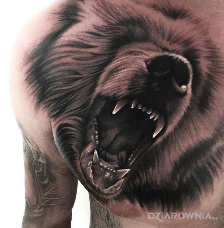 Tatuaż niedźwiedź w motywie zwierzęta i stylu realistyczne na klatce