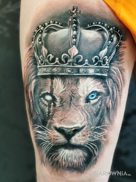 Tatuaż lew król w motywie przedmioty i stylu realistyczne na nodze