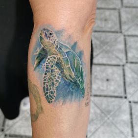 Tattoo Turtle on the forearm motif: colorful style: graphic / illustrative