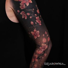 Tatuaż Kwiat wiśni na ramieniu motyw: kwiaty styl: blackwork / blackout