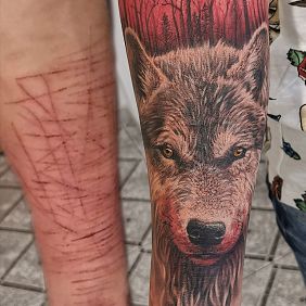 Tattoo Scars wolf forest on the forearm motif: colorful style: realistic