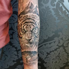 Tattoo Tiger on the forearm motif: black and gray style: realistic