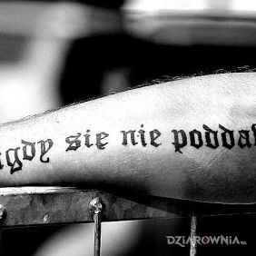Tatuaż Nigdy się nie poddawaj na przedramieniu motyw: napisy