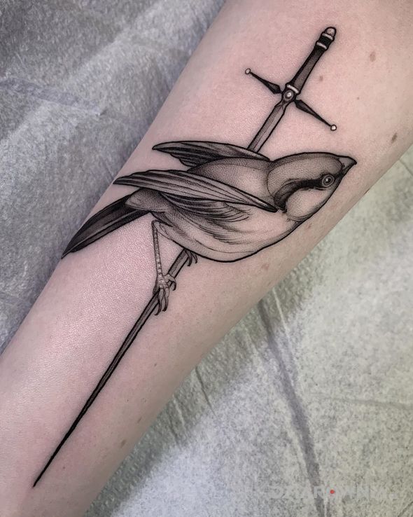 Tatuaż ptaszek na mieczyku w motywie czarno-szare i stylu graficzne / ilustracyjne na przedramieniu