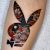 playboy