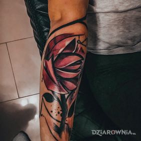 Tatuaż Róża na przedramieniu motyw: kwiaty styl: graficzne / ilustracyjne