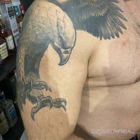 Tatuaż Orzeł na ramieniu motyw: zwierzęta styl: realistyczne