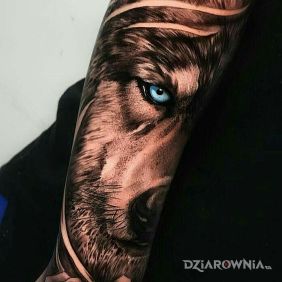 Tatuaż Wilk z kwiatem róży na dłoni motyw: kwiaty styl: realistyczne