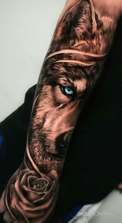 Tatuaż wilk z kwiatem róży w motywie czarno-szare i stylu realistyczne na przedramieniu